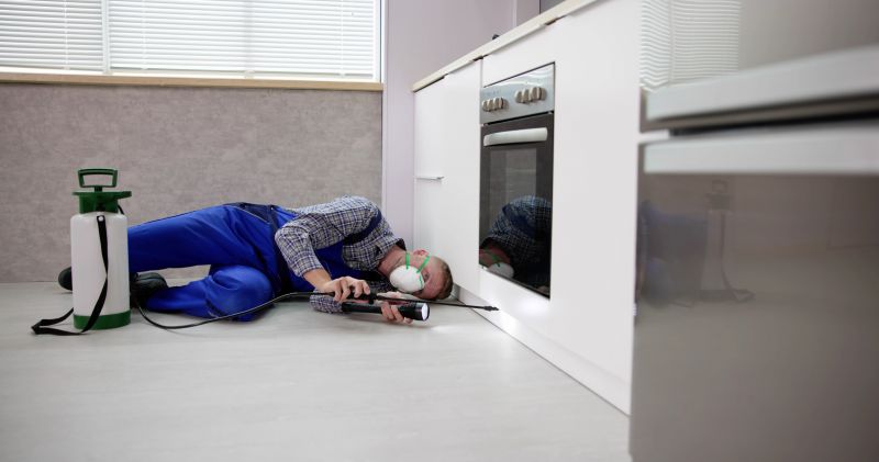 Licensed and Insured Services